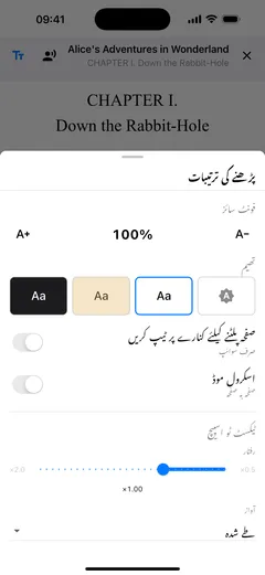 ‏iPhone پر Fablum کی پڑھنے کی ترتیبات: فونٹ کا سائز، صفحے کے رنگ کے چار نمونے، ورق گردانی اور اسکرول کے سوئچ، اور باآواز پڑھنے کی رفتار